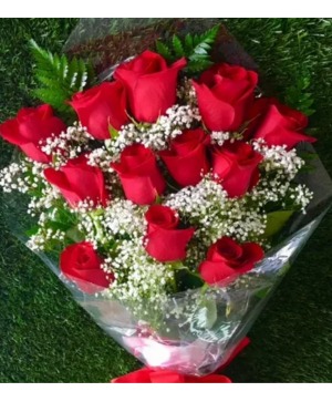 POPULAR! DOZEN RED ROSES WITH FILLER (W)   presentation bouquet. Wrapped with bow and watertubes and babys breath!