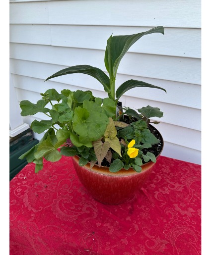 Porch Planter Annuals