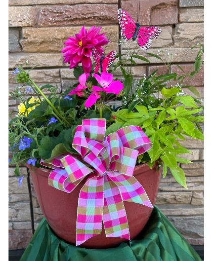 Porch Pot Annuals