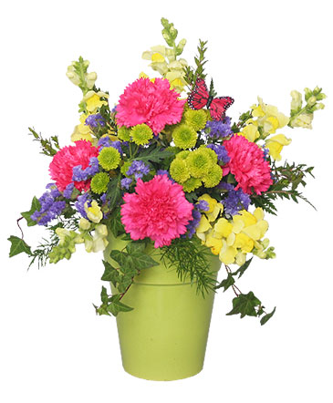 POT O' POSIES Flower Arrangement in Ocala, FL | Blue Creek Florist