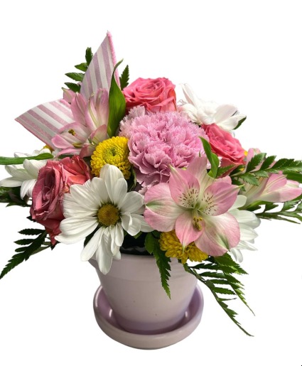 Pot of Blooms Colors vary