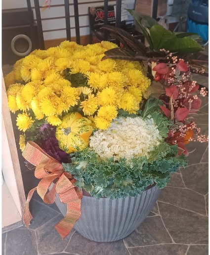 Autumn Blooms Alive!  