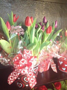 Potted Tulips Valentine's Day