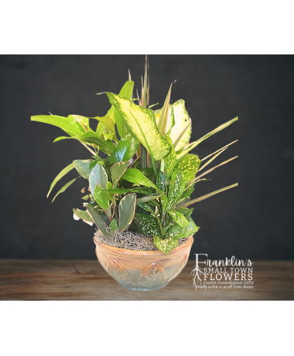 Pottery Dish Garden Dish Garden