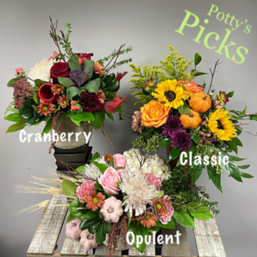 Potty’s Picks  in Etobicoke, ON | THE POTTY PLANTER FLORIST