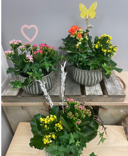 Potty’s Picks Planter  