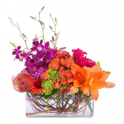 Powerfully Prismatic Arrangement