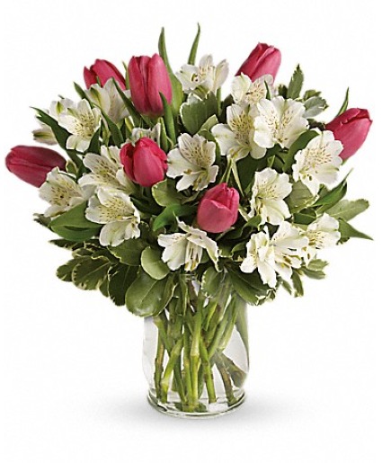 Prancing Tulips 