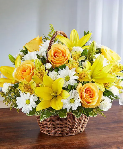 Prayers in Yellow & White - 00254 