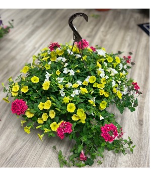 11” Combination Hanging Basket for Sun 