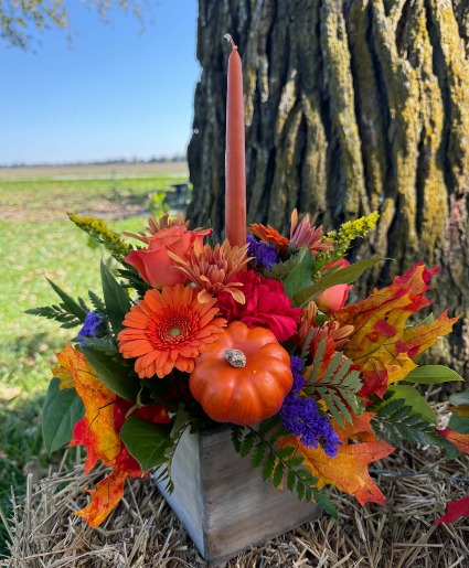 PRE-ORDER ONLY - Thanksgiving Tradition Small 