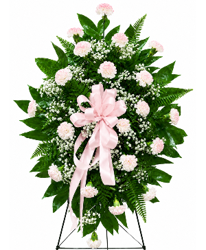 Precious Memories – Pink Tint Spray