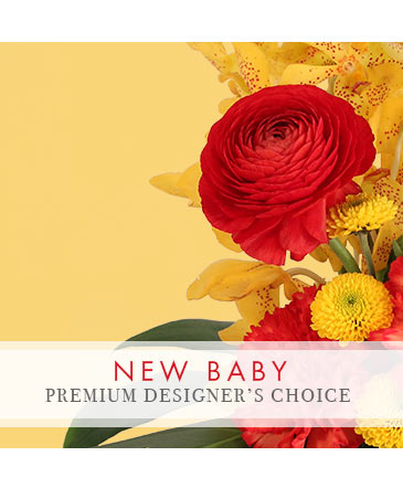 Precious New Baby Premium Designer's Choice in Hillsboro, OR | FLOWERS BY BURKHARDT'S