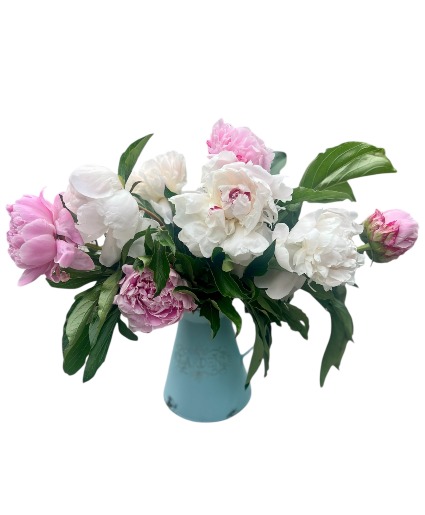 Precious Peony Colors Vary