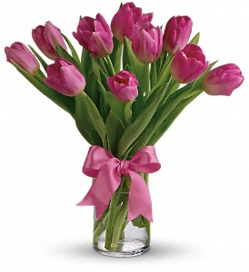 Precious Pink Tulips 