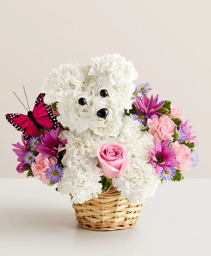 Precious Pup 191546 