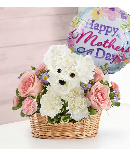 PRECIOUS PUP assorted flowers