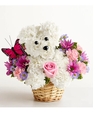 Precious pup for Mom 