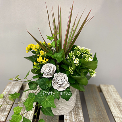 Premium Ceramic Planter 