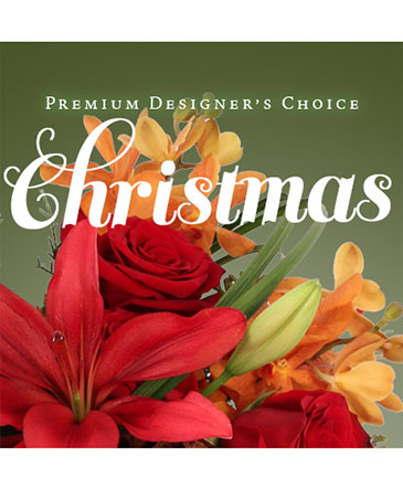Premium Christmas Bouquet Designer's Choice in Presque Isle, ME | COOK FLORIST, INC.