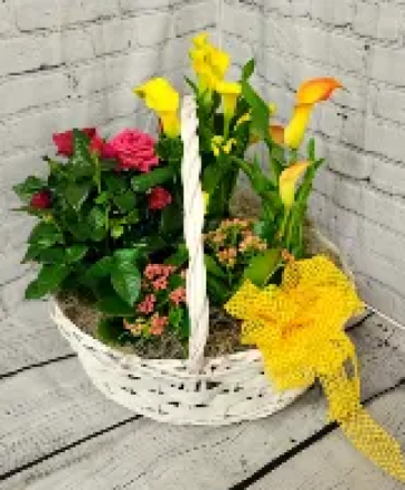 Premium Euro Basket  Potted Plants(plants & containers will vary) in Bryson City, NC | Village Florist