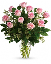 Pink Crush 1 Dozen Long Stem Ecuadorian Roses