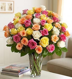 ROMA FLORIST PREMIUM LONG STEM ASSORTED ROSES 
