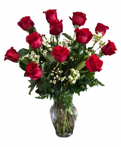 Premium Dozen Roses