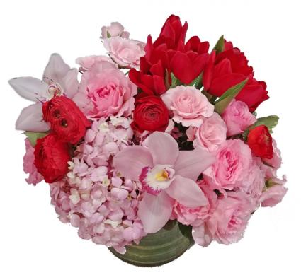 Premium Valentine Special 
