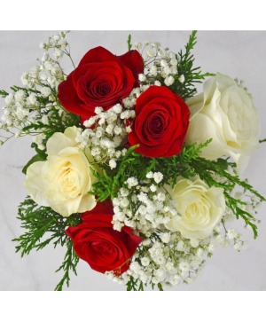 Presentation bouquets with 3 red and 3 white (W) Roses wrapped in cellophane with watertubes and bow!