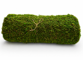 Preserved Moss Mat 18" x 140 " 
