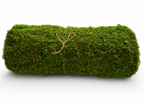 Preserved Moss Mat 18" x 140 " 