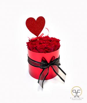 Preserved Poinciana Roses  