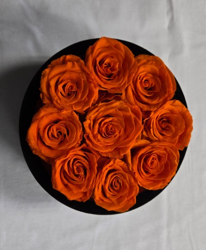 Preserved Rose Box ON SALE Local Delivery Only