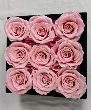 Preserved Rose Box ON SALE Local Delivery Only