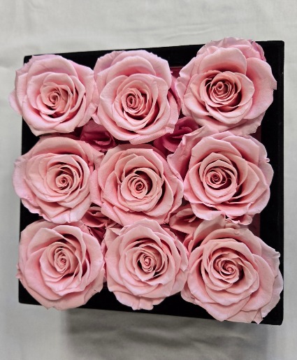 Preserved Rose Box ON SALE Local Delivery Only