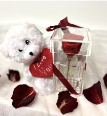 Preserved Rose Box Bundle – Rose lasts 3 years 