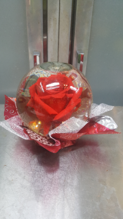 Preserved Rose Globe (pink, blue, yellow, teal)) No Out of State Shipping. Local Delivery/Pick Up