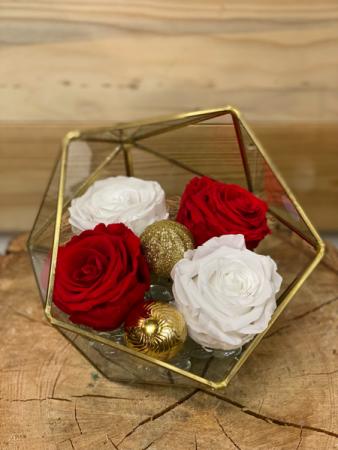 Preserved Roses ❤️ 