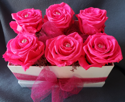 Preserved Roses 6 Fuchsia Preserved Roses 
