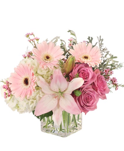 Pretty GIRL  Pink Flowers