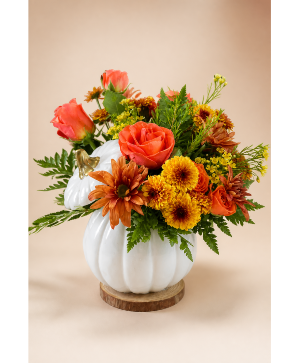 Pretty Harvest Pumpkin 