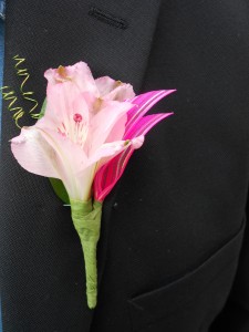 Pretty in Pink Boutenierre  Boutenierre