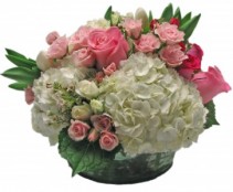 Pretty in Pink Cut Flowers