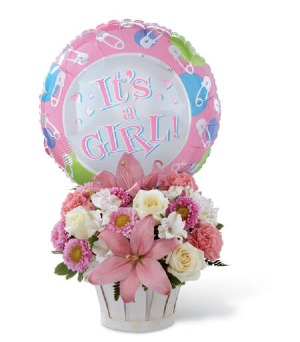 Pretty in Pink Princess Arrival 