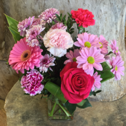 Pretty in Pinks 