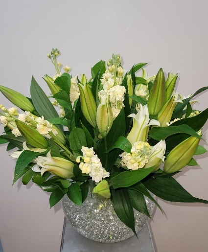Pretty Lilies plant 