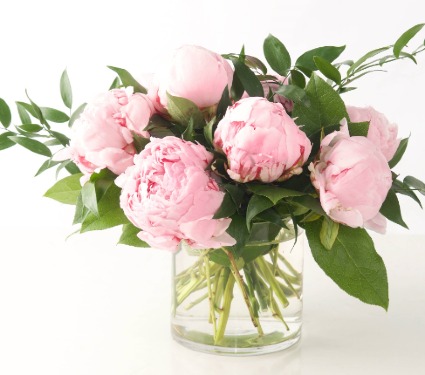 Pretty Peonies  