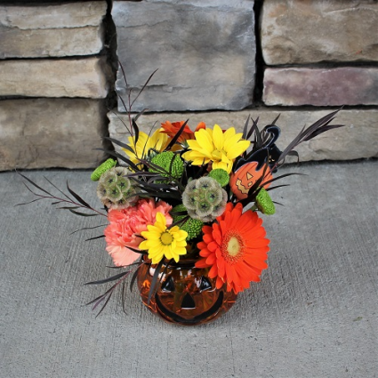 Pretty Pumpkin Halloween Arrangement