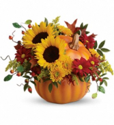 Pretty Pumpkin Bouquet                T11H110 Fresh Floral Keepsake 